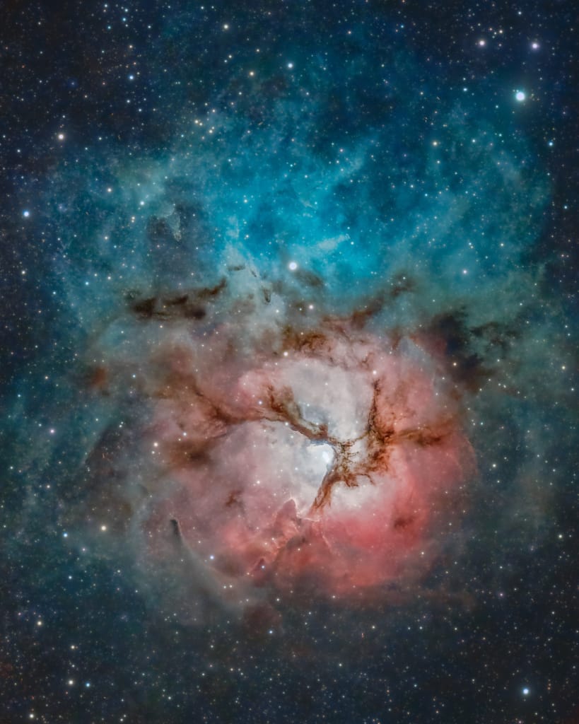 A Beautiful Trifid A Beautiful Trifid