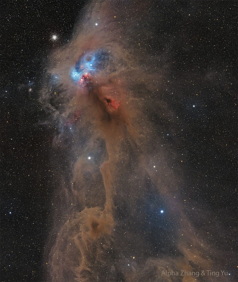 NGC 6727: The Rampaging Baboon Nebula NGC 6727: The Rampaging Baboon Nebula