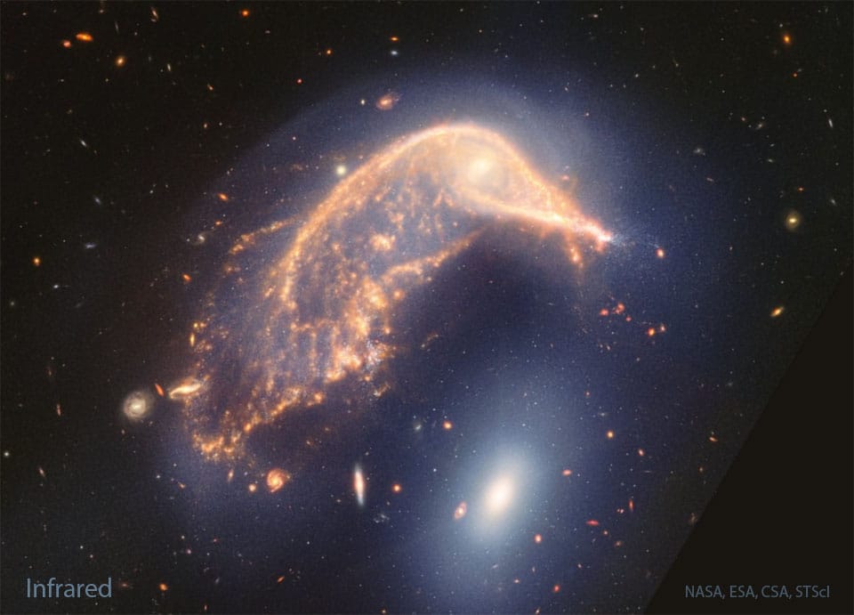 Arp 142: Interacting Galaxies from Webb Arp 142: Interacting Galaxies from Webb