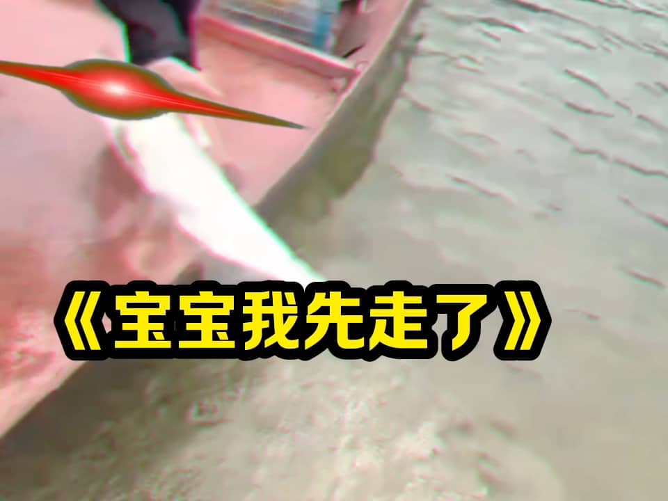 《宝贝我先走了》
