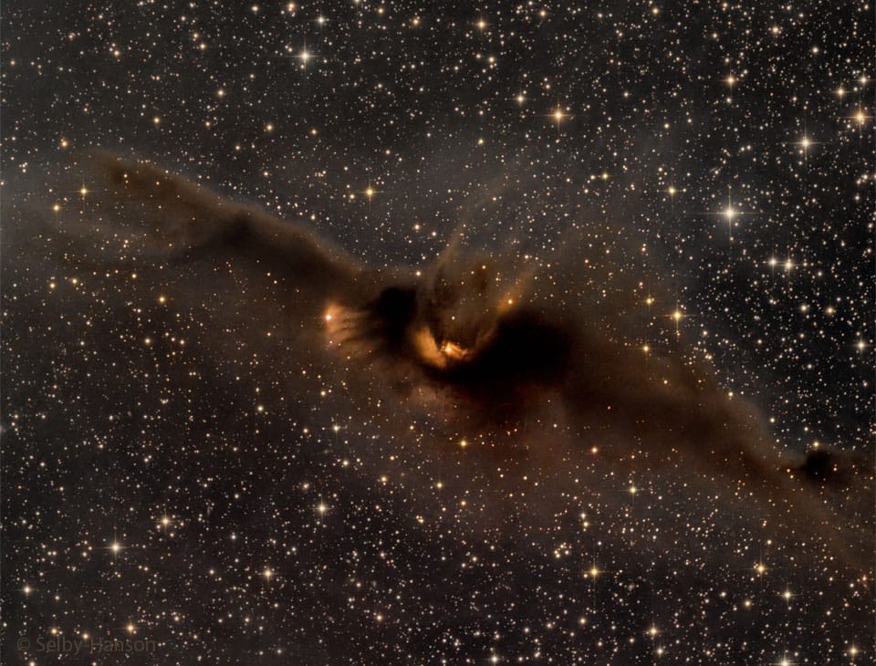 LDN 43: The Cosmic Bat Nebula LDN 43: The Cosmic Bat Nebula