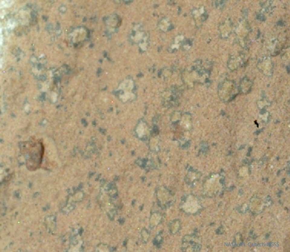 Leopard Spots on Martian Rocks Leopard Spots on Martian Rocks