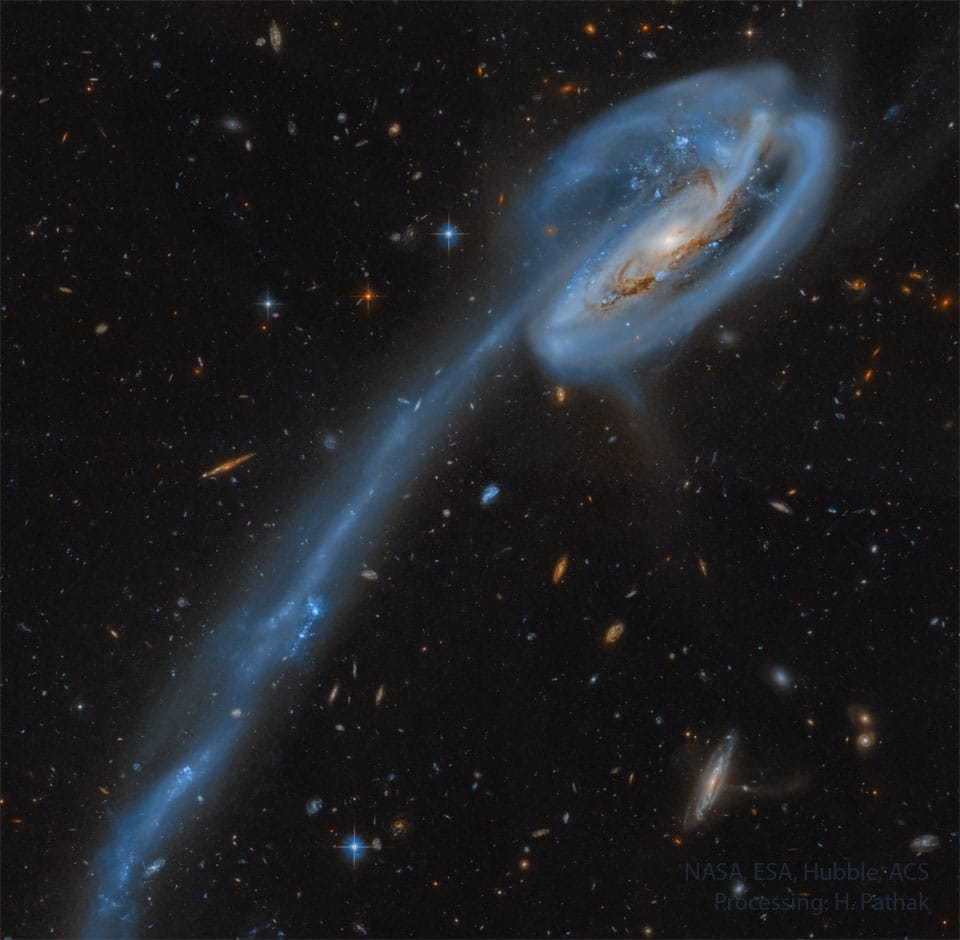 The Tadpole Galaxy from Hubble The Tadpole Galaxy from Hubble