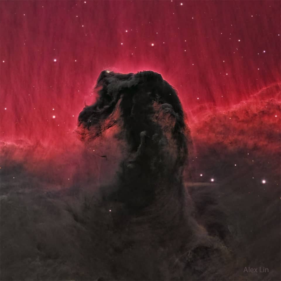 The Horsehead Nebula The Horsehead Nebula
